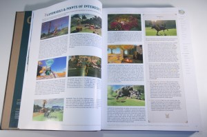 The Legend of Zelda - Tears of the Kingdom - The Complete Official Guide (Collector's Edition) (10)